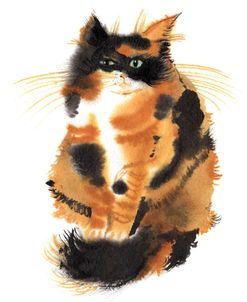 Caliko Kitten