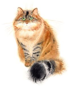 Siberian Cat