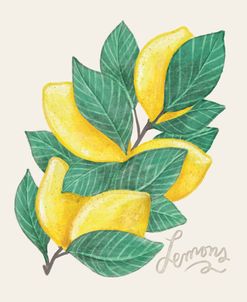 Lemon Branch