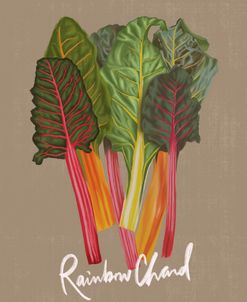 Rainbow Chard