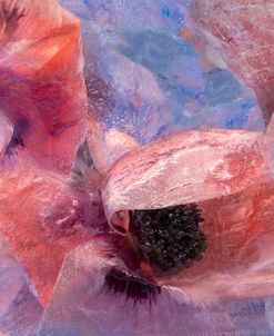 Captured Wind – Pink Poppy in Ice Montage