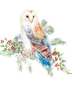 ELX19374 – Wise Christmas Owl