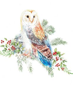 ELX19374 – Wise Christmas Owl