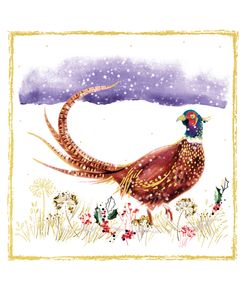 ELX19376 – Pheasant in the Snow