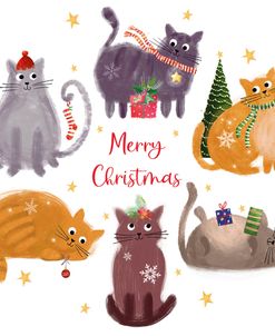 ELX19397 – Festive Felines