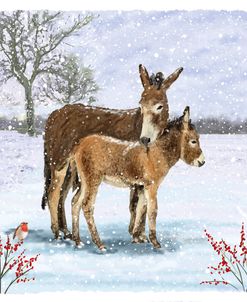 ELX19428 – Donkeys in the Snow
