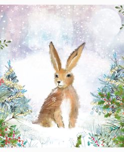 ELX19444 – Winter Foliage Hare