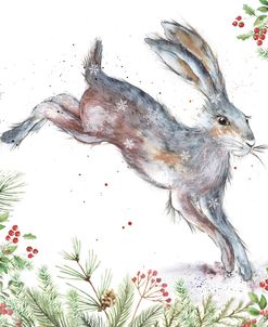 ELX19449 – Grey Winter Hare