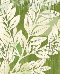 Sage Foliage