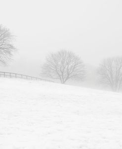 Walking In Fog