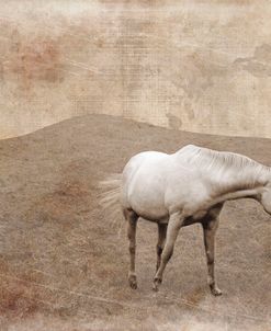 White Horse Vintage