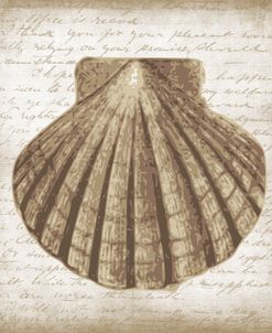 Shell I