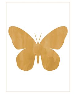 Gold Butterfly