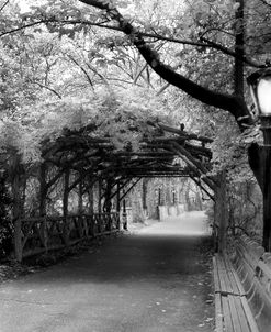 Central Park Pergola