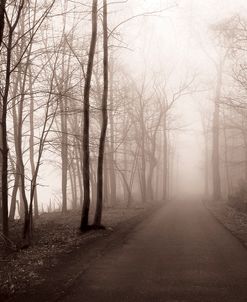Foggy Path