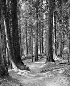 Mountain Hike