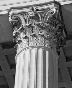 Corinthian Column II