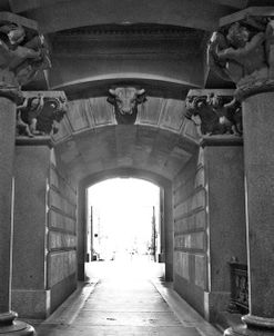 Light at the End of the Tunnel