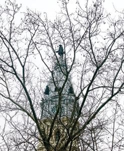 City Hall (branches) (color)