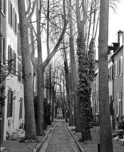 Brick Road (b/w)