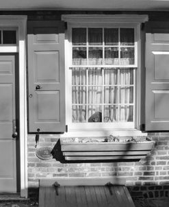 Red Door, Red Shutters (b/w)