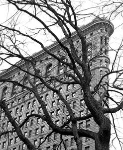 Flatiron with Tree (b/w)