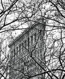 Veiled Flatiron Building (b/w)