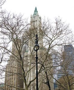 Woolworth Building from City Hall Park
