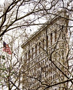 Veiled Flatiron Building (detail)