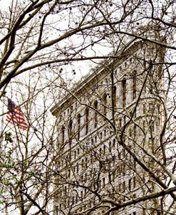 Veiled Flatiron Building (detail)