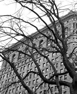 Flatiron with Tree (b/w) (detail)