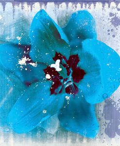 Tulip Fresco (blue)