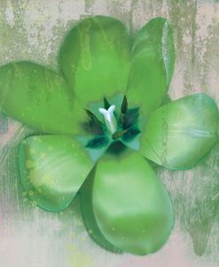 Tulip Fresco (green)