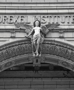 Drexel Angel (b/w)