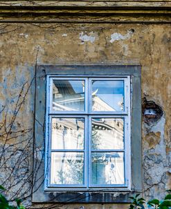 Windows of Vienna 03