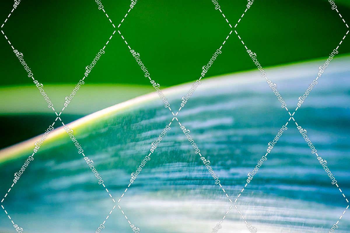 Agave Abstract 2