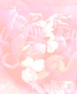 Blushing Blossom 03
