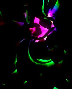 Neon Glow in the Dark 05