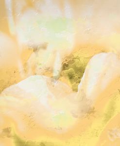 Savvy Yellow 01