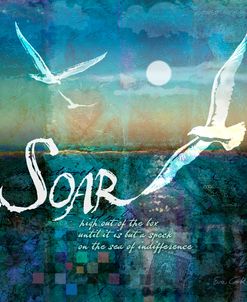 Soar