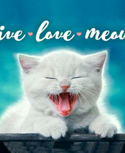 Live Love Meow