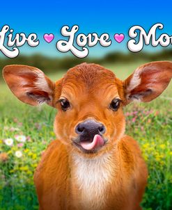 Live Love Moo