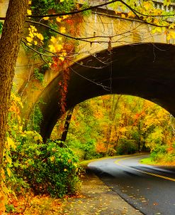 Tunnel of Fall