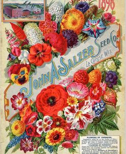 Salzer Seed Company