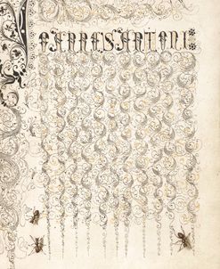 Mira Calligraphiae P24