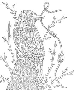 BC Kingfisher
