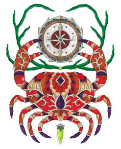 BC Compass Crab – Color