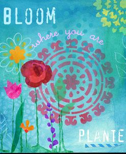 Bloom