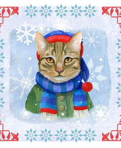 Winter Cat