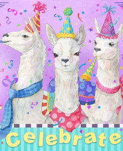 Llama Party